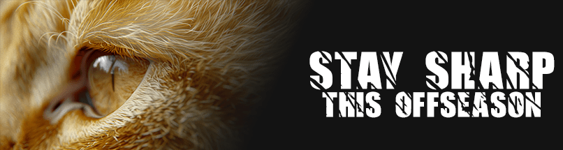 Prepping for the Off-Season: How Real Estate Agents Can Stay Sharp&nbsp;Online